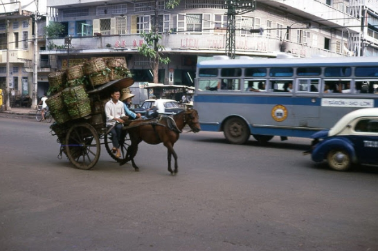congdongviet_net_2020-04-01_113624-xc13MJV2kh-1585759076789