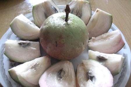 Congdongviet_net_-200330-175753