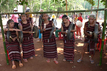 Congdongviet_net_-200330-161200