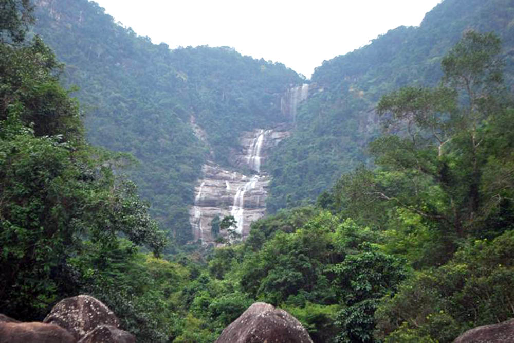 Congdongviet_net_-200401-173443