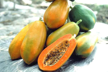 Congdongviet_net_-200330-180024