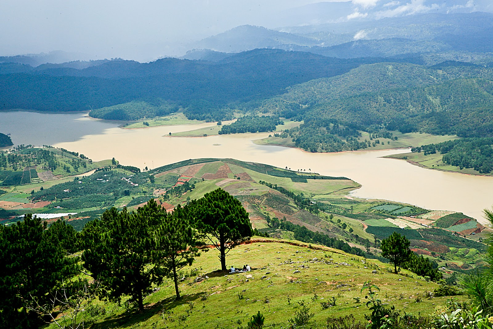 Congdongviet_net_-200401-141703
