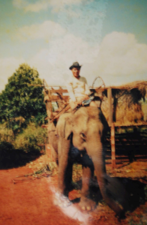 Congdongviet_net_-200330-104852