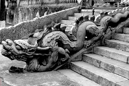 Congdongviet_net_-200330-173106