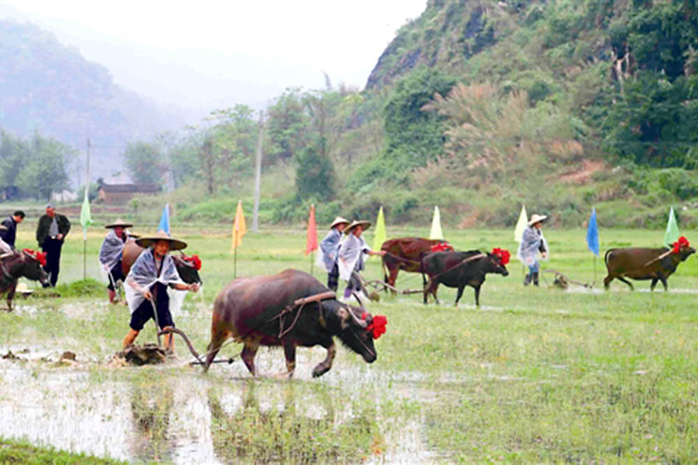 Congdongviet_net_-200405-104538