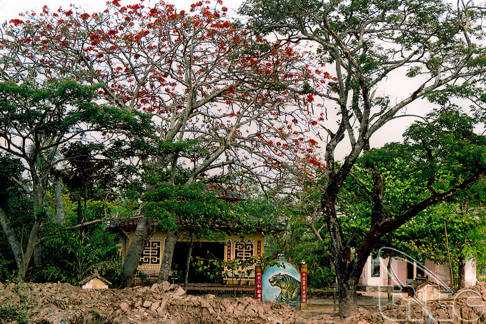 Congdongviet_net_-200331-085033