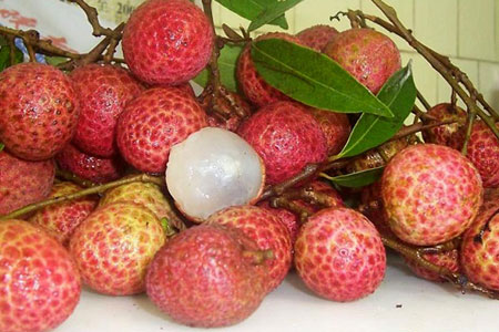 Congdongviet_net_-200330-175727
